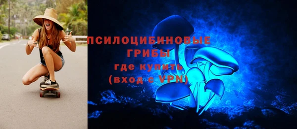 a pvp Богородицк