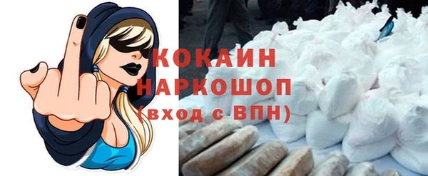 гидра Богданович