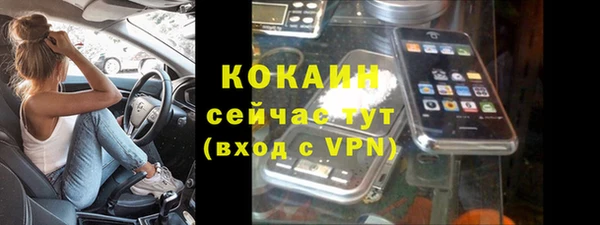 гидра Богданович