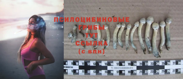 прущие грибы Богородск