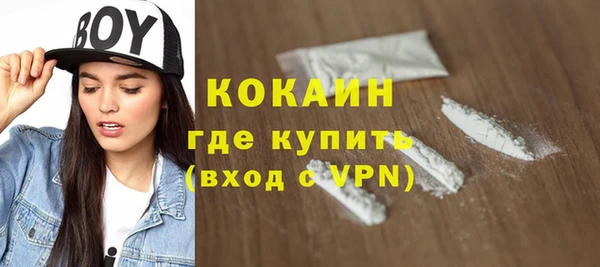 прущие грибы Богородск