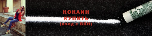гидра Богданович