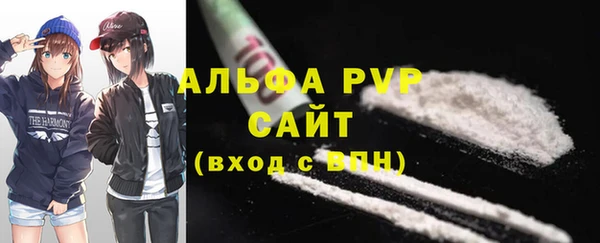 прущие грибы Богородск