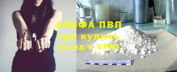прущие грибы Богородск