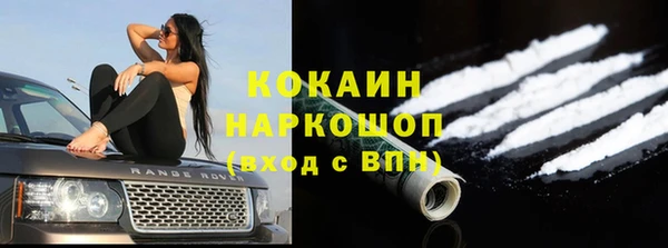 гидра Богданович