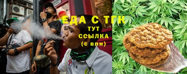гидра Богданович
