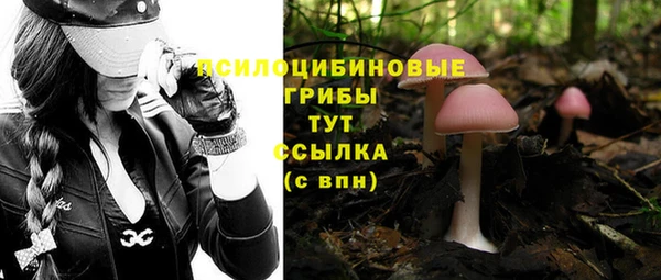 прущие грибы Богородск