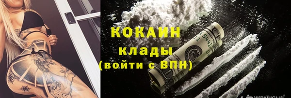 прущие грибы Богородск