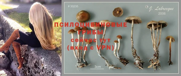 гидра Богданович