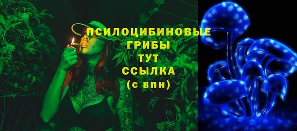 гидра Богданович